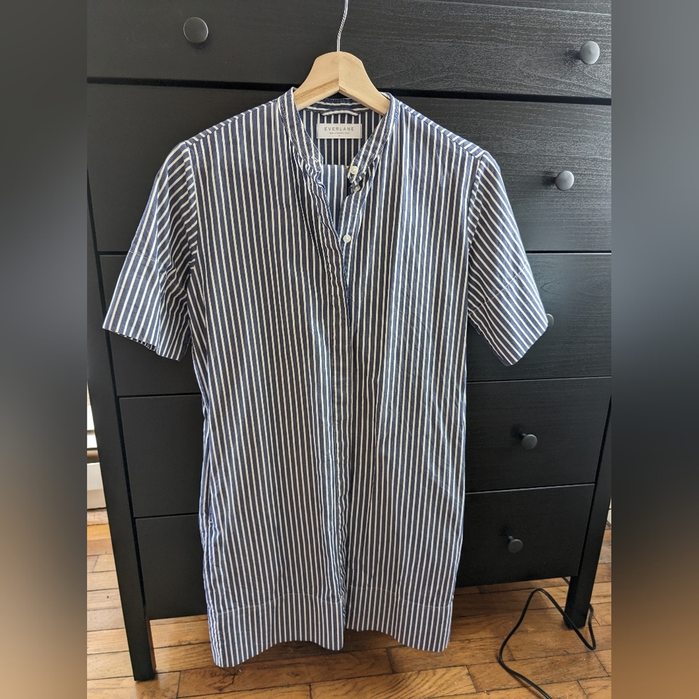 Everlane Striped Shirt Dress